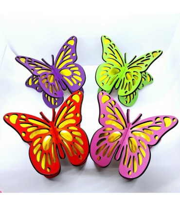 رحل پروانه ی رنگی