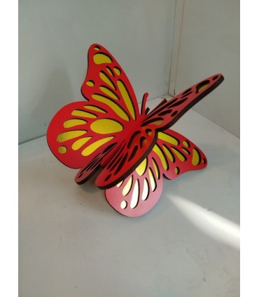 رحل پروانه ی رنگی