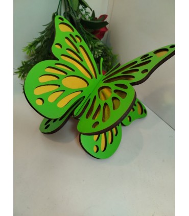 رحل پروانه ی رنگی